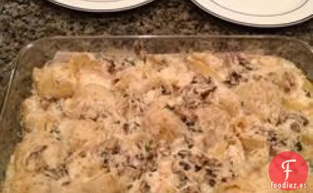 Conchas marinas de Kevin