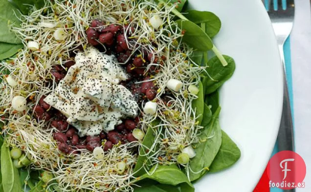 Judías Adzuki, Queso Gorgonzola Y Brotes De Alfalfa