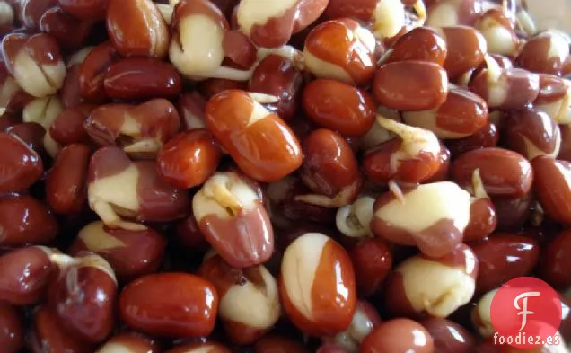 Pizza de Sésamo de Quinua de Frijoles Adzuki
