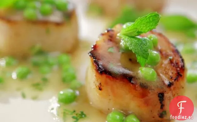 Vieiras Caramelizadas con Vinagreta de Guisantes Verdes Frescos