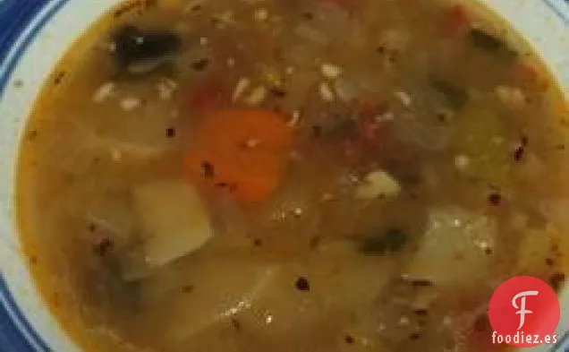Sopa de Calabacín y Tomate II