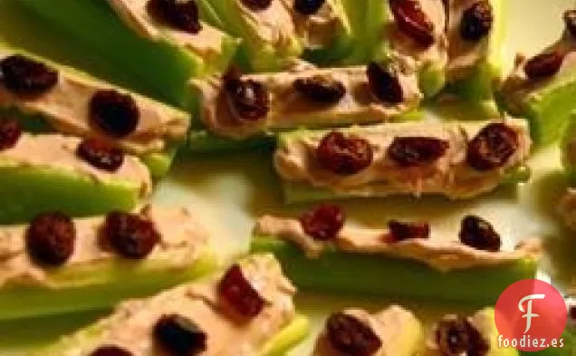 Mariquitas en un tronco