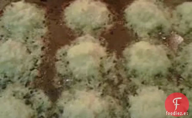 Montañas de Coco