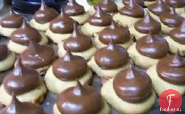 Galletas de Tortuga I