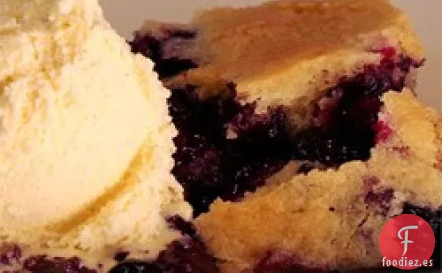 El Mejor Zapatero de Arándanos