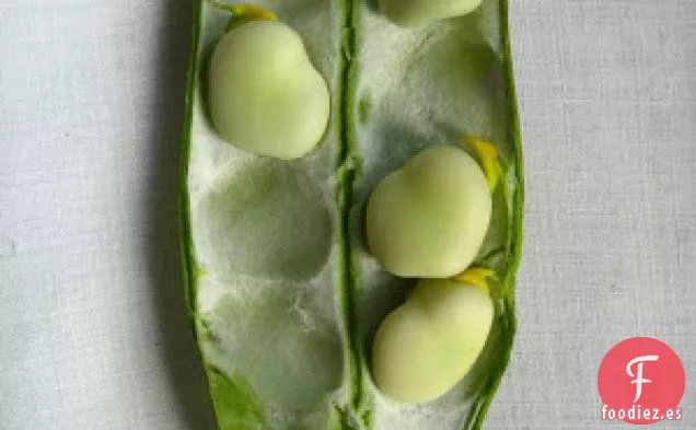 Ensalada de Habas Simples