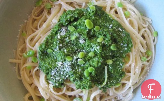 Pesto de Hoja de Fava