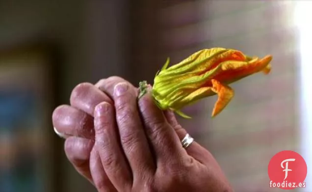 Flores de Calabacín Rellenas con Ensalada de Tomate de Herencia