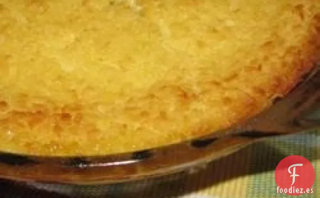 Pastel de Coco Imposible II