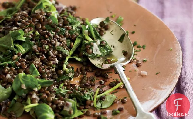 Lentejas con Vino Tinto y Hierbas Aromáticas
