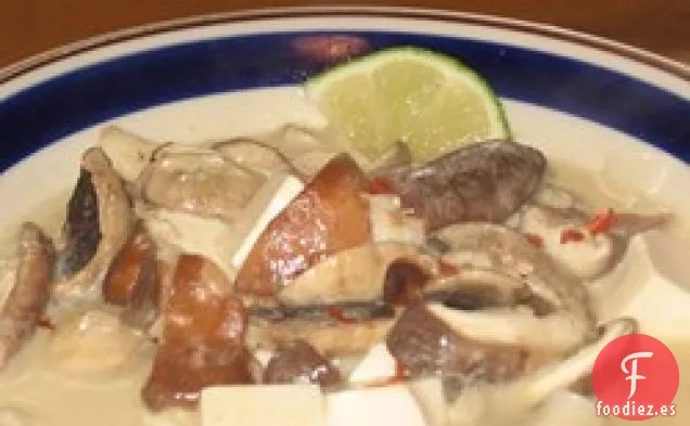Sopa de Tofu al Curry Rojo Tailandés