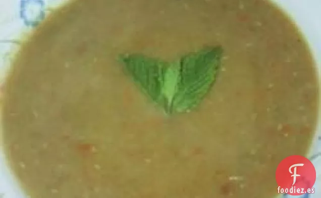 Sopa de Verduras con Lentejas