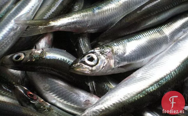 Planificador de fiestas: Pasta con Sardinas