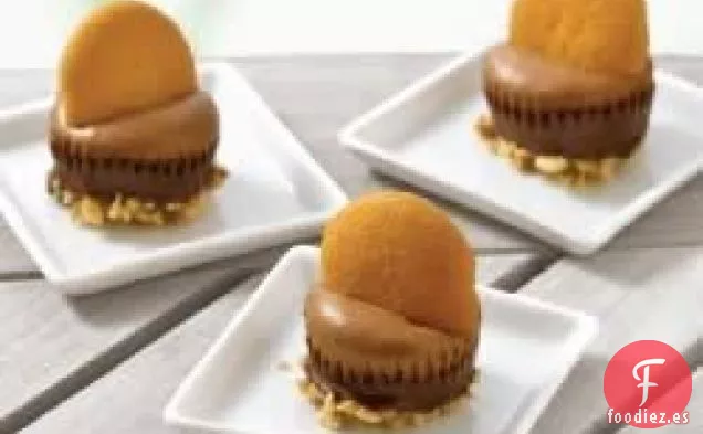 Bombones de Mantequilla de Cacahuete y Chocolate