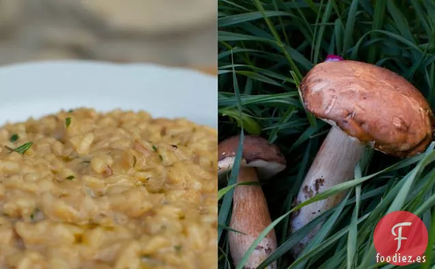 Risotto de Porcini