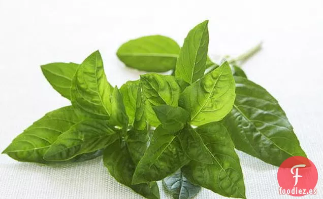 Fletán Escalfado con Verduras Provenzales y Aceite de Albahaca