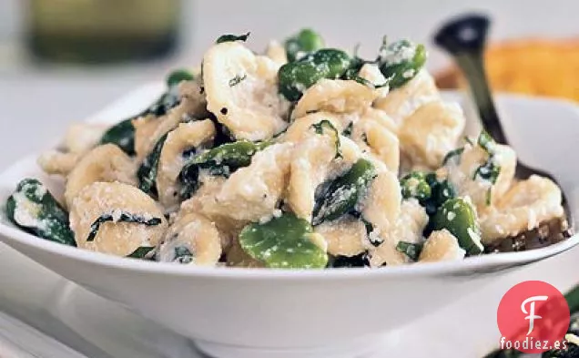 Orecchiette con Habas Frescas, Ricotta y Menta Rallada