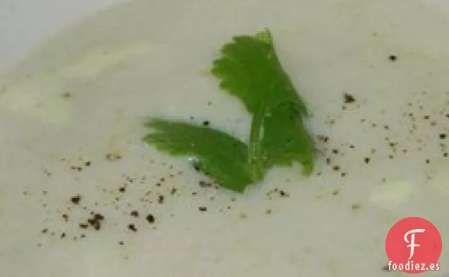 Crema de Apio