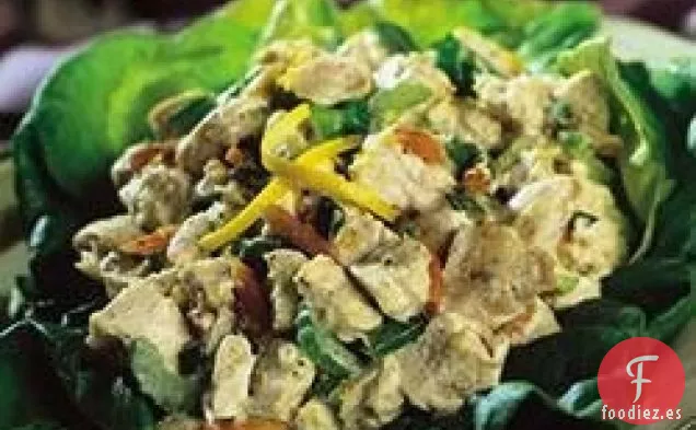 Ensalada de Pollo con Limón Holland House®