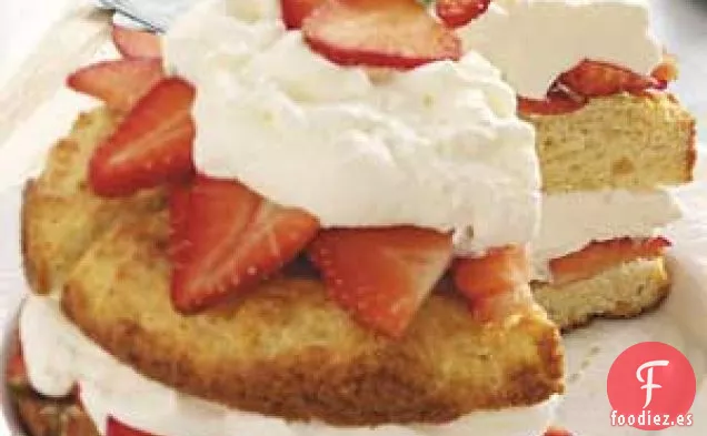 Los Mejores Pasteles de Fresa