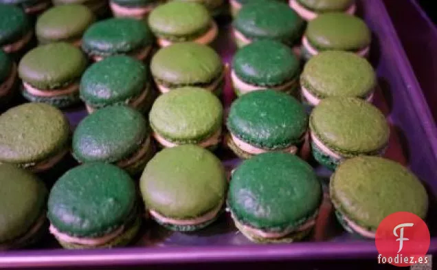 Macarrones de Guisantes y Menta Frescos