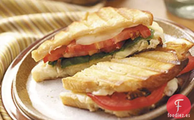 Panini de Alcachofa de Monterrey