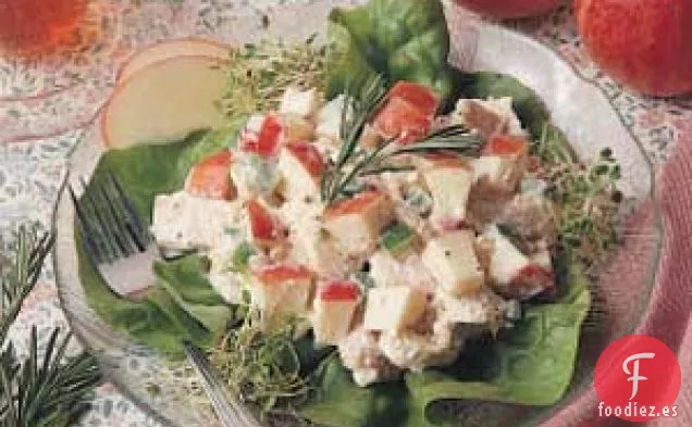 Ensalada de Pollo Y Manzana