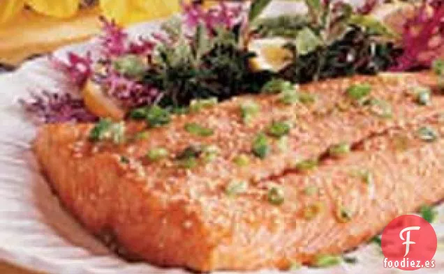 Filete de Salmón al Ajonjolí