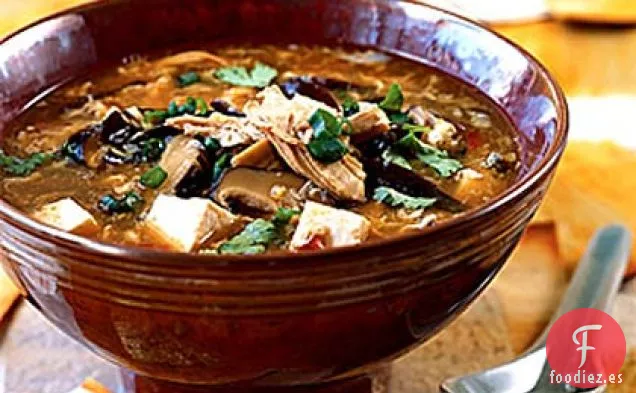 Sopa Agria y Caliente