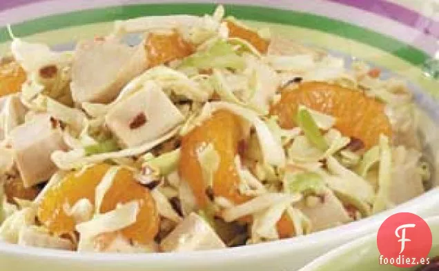 Ensalada de Col con Pollo Mandarín