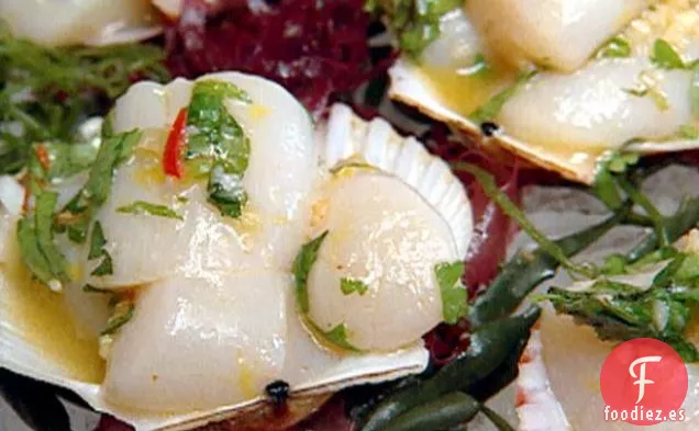 Vieiras de la Bahía de Nantucket en Aderezo de Tequila, Cítricos y Chile