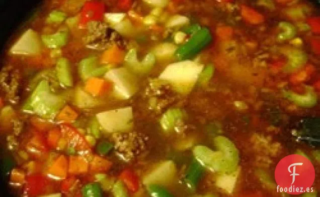 Sopa de Ternera con Verduras Fácil