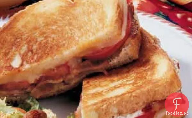 Sándwiches de Lasaña