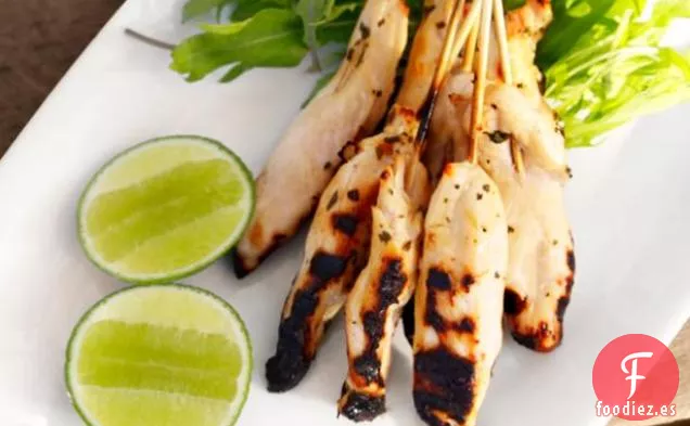 Brochetas de Pollo Margarita