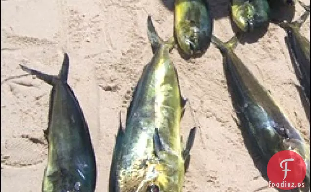 Mahi Mahi Griego