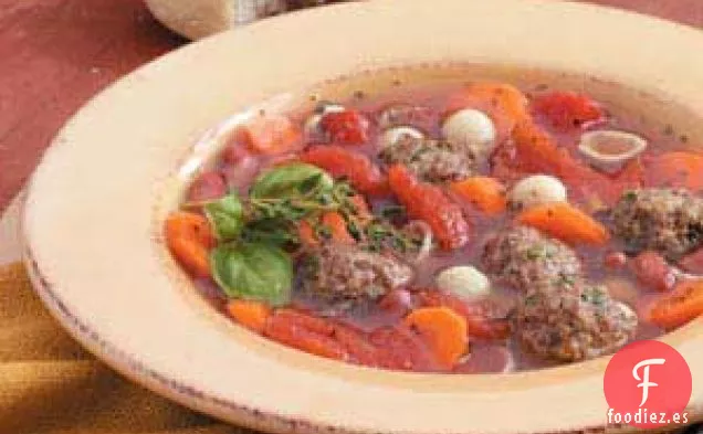 sopa de albóndigas
