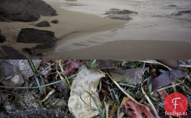 Chutney de Limón Asado