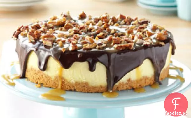 Tarta de queso con forma de tortuga sencilla