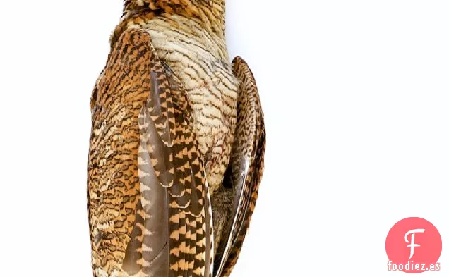 Becada Asada, Alcachofas De Jerusalén Trufadas Y Boulangere