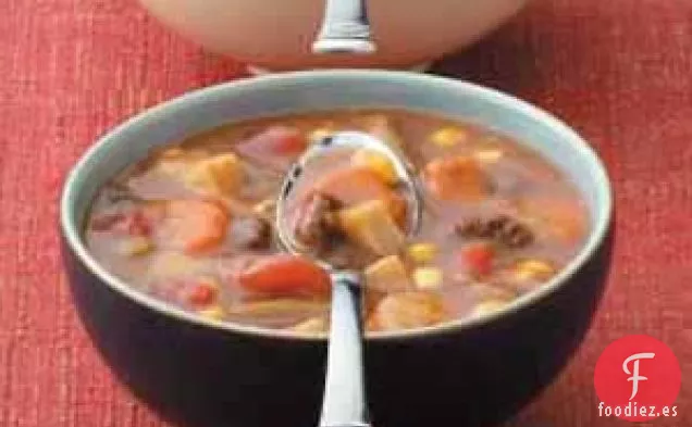 Sopa de carne rápida