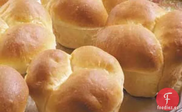 Rollos de madre