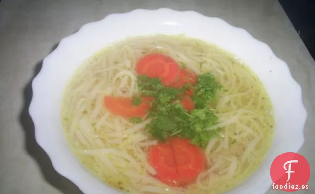 Sopa de Fideos de Pollo