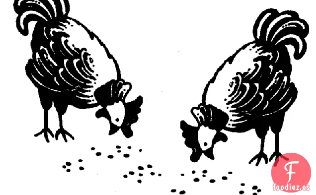 Caldo de Pollo
