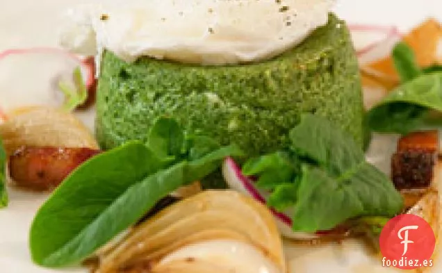 Sformatino De Espinacas Con Panceta, Rábanos Y Cebolletas