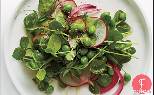 Ensalada de Brotes de Guisantes con Rábanos y Cebolla en Escabeche