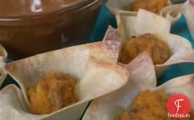 Bocadillos de Won Ton