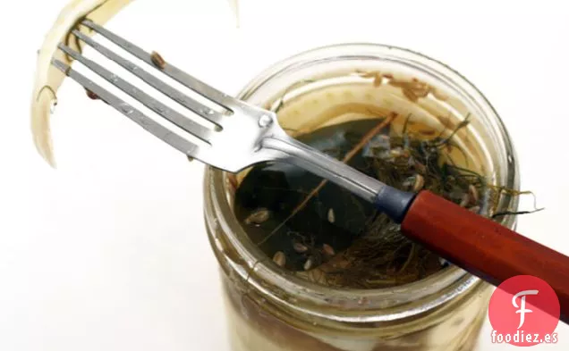 Hinojo en Escabeche