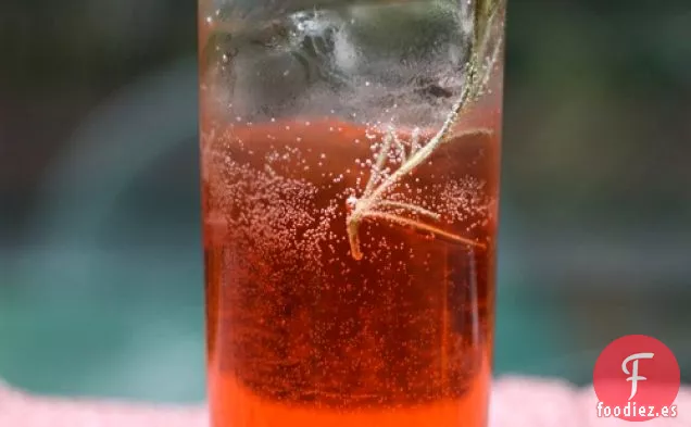 Campari-Aperitivo de romero