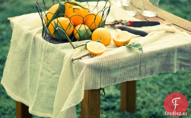 Receta De Limonada Meyer Con Romero