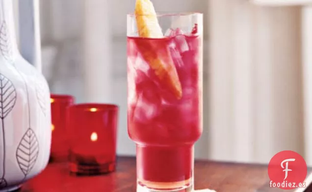 Hibiscus Mocktini